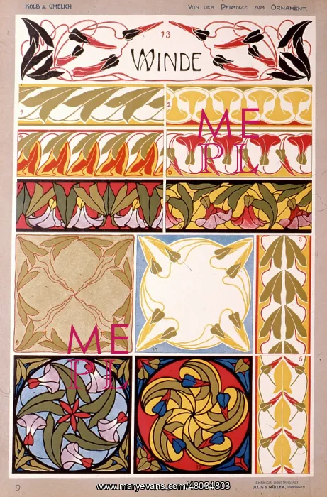 : Winde (Bindweed) by Kolb and Gmelich : Winde (Bindweed) by Kolb and Gmelich