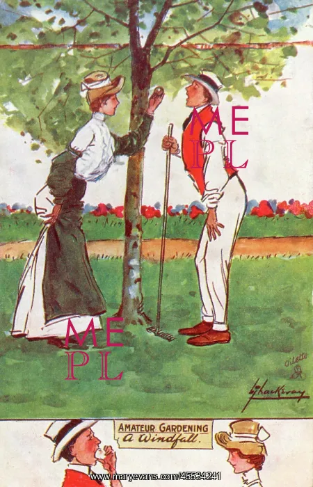 : A Windfall - tasting an apple in the garden : A Windfall - tasting an apple in the garden