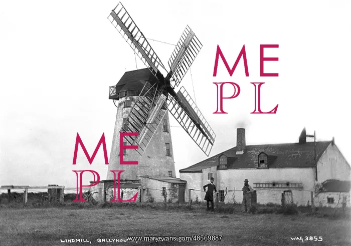 : Windmill, Ballyholme, 11th July 1887 : Windmill, Ballyholme, 11th July 1887
