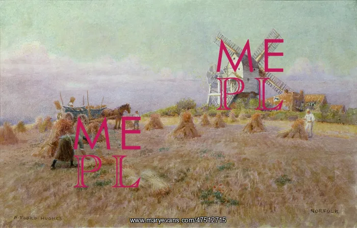 : A Windmill at Catfield, Norfolk : A Windmill at Catfield, Norfolk