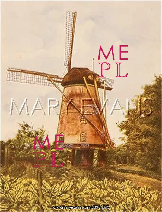  : WINDMILL AT ELDEN