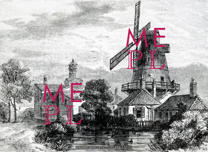 : Windmill at Lambeth used by the Apothecaries : Windmill at Lambeth used by the Apothecaries