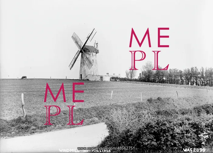 : Windmill at Millisle : Windmill at Millisle