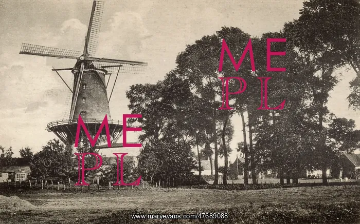  : Windmill with platform, Sluis, Netherlands