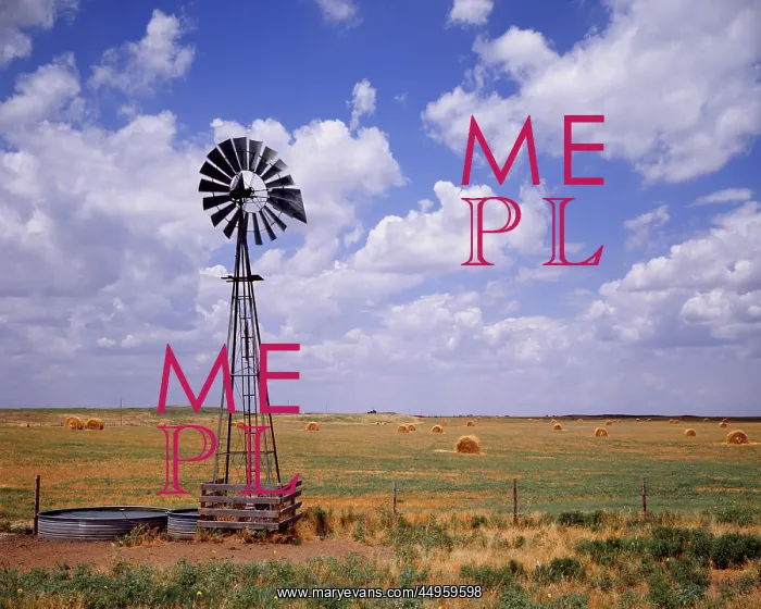 : Windmill Pump Full Watering Trough and Field of : Windmill Pump Full Watering Trough and Field of