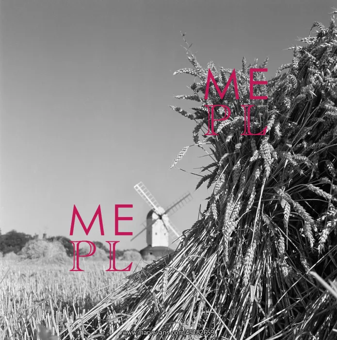 : Windmill and wheat : Windmill and wheat