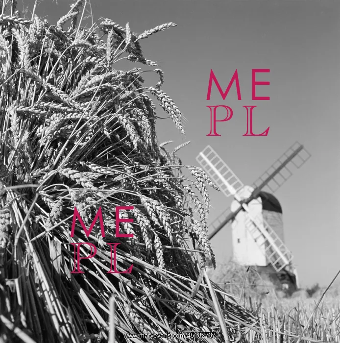 : Windmill and wheat : Windmill and wheat