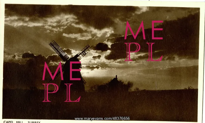  : Windmills of Surrey - Capel Mill