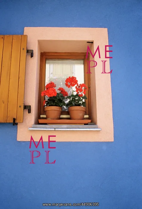  : Window boxes with red geranium blue wall provencal