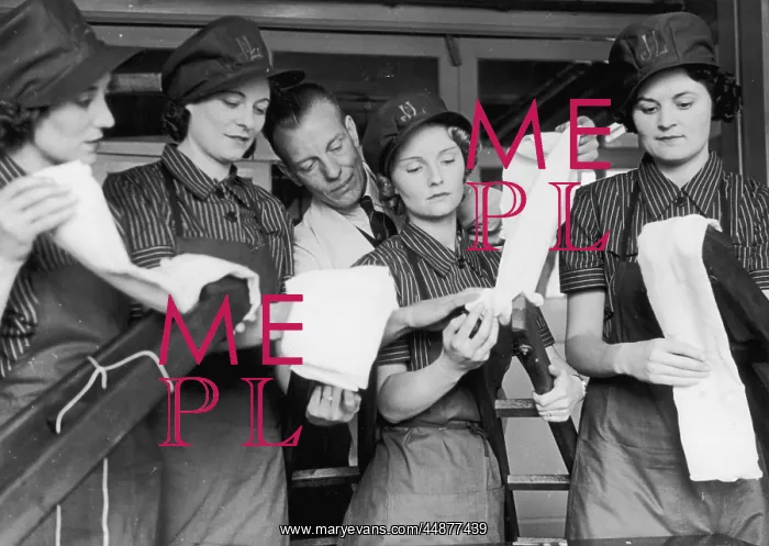 : WINDOW CLEANING GIRLS : WINDOW CLEANING GIRLS