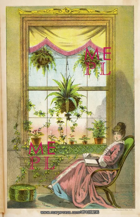 : WINDOW GARDENING : WINDOW GARDENING
