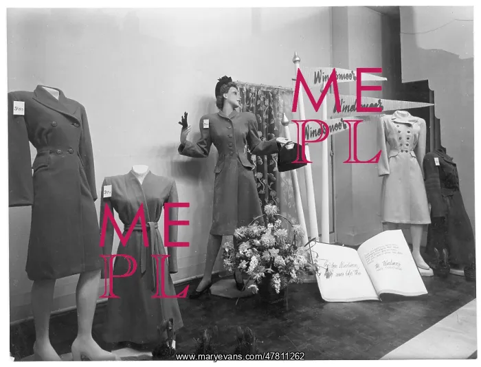 : Windsmoor ladies coats: window display : Windsmoor ladies coats: window display