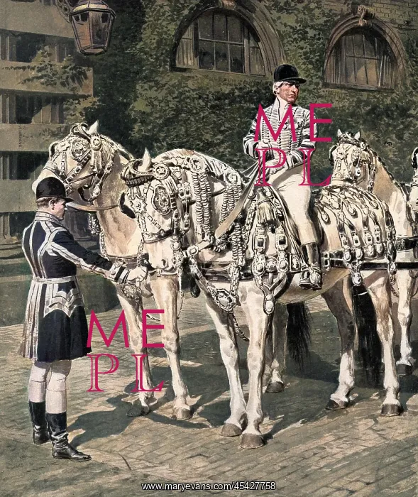 : The Windsor Greys in their Coronation Harness : The Windsor Greys in their Coronation Harness