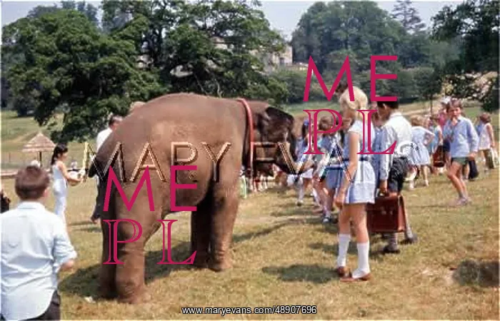 : WINDSOR SAFARI PARK : WINDSOR SAFARI PARK