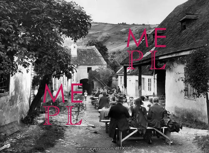 : Wine bar in Vienna, 1930 : Wine bar in Vienna, 1930