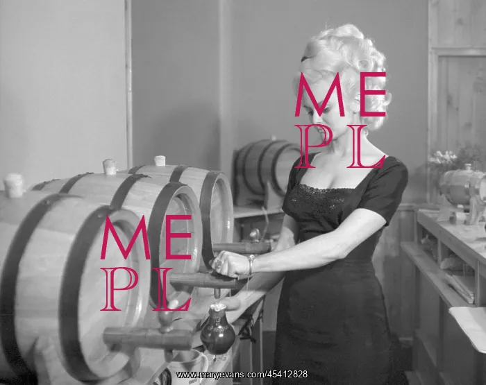 : Wine barrel - bartender - wine serving : Wine barrel - bartender - wine serving