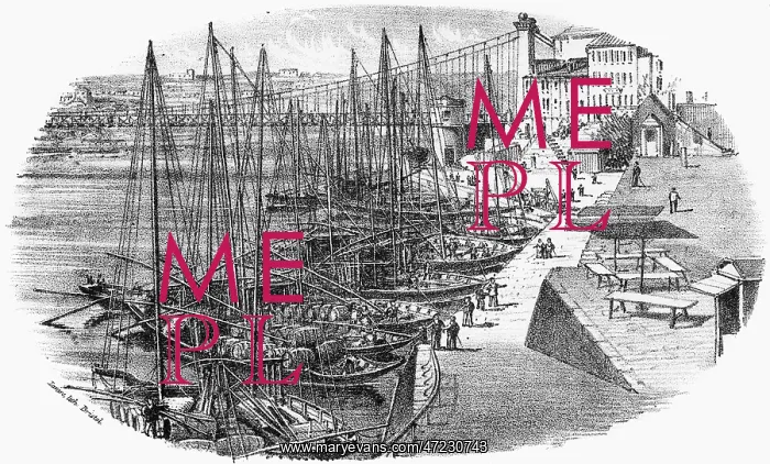  : WINE BOATS AT OPORTO