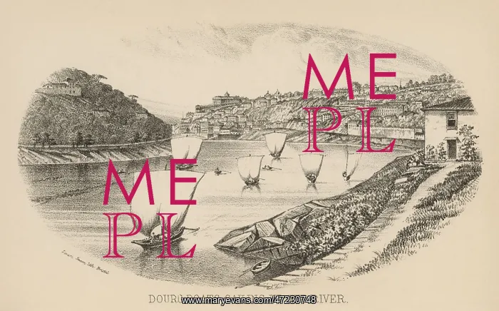 : WINE BOATS / OPORTO RIVER : WINE BOATS / OPORTO RIVER