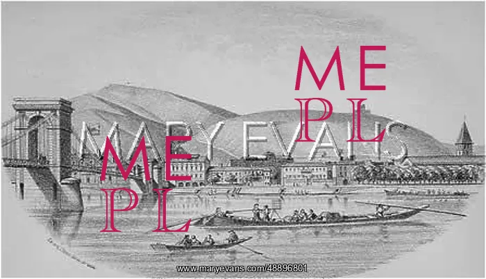 : WINE BOATS ON THE RHONE : WINE BOATS ON THE RHONE