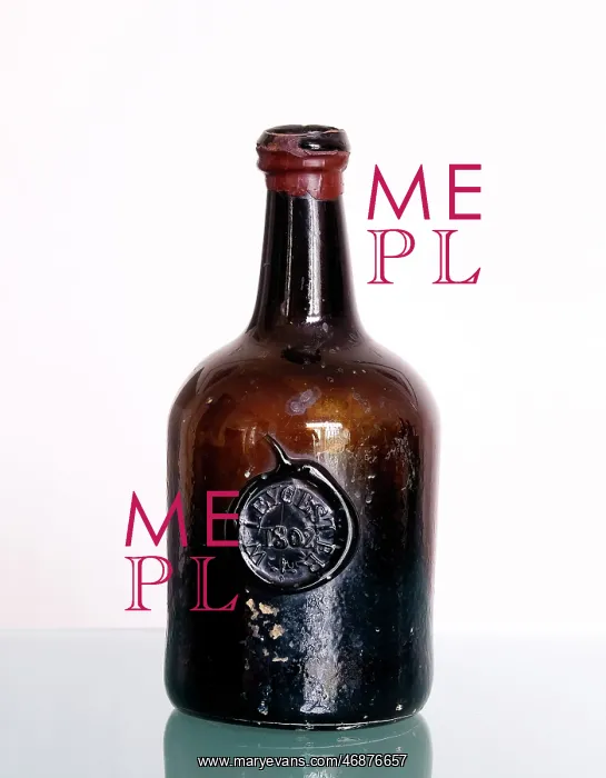 : Wine bottle with seal W Leycester 1802 : Wine bottle with seal W Leycester 1802