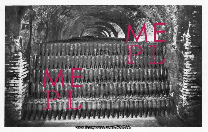  : Wine bottles stored in a cellar, gathering dust