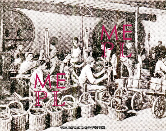  : Wine Bottling and Corking