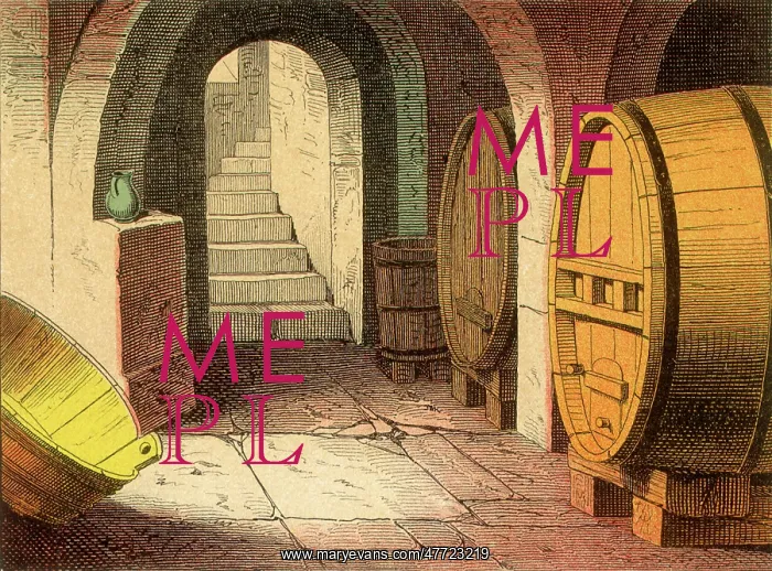 : Wine Cellar : Wine Cellar