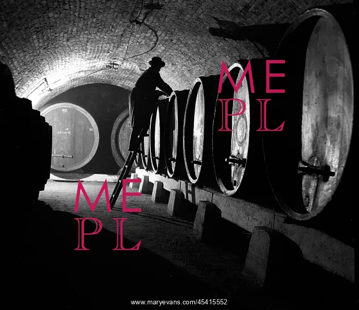 : Wine-cellar barrel winegrover winery : Wine-cellar barrel winegrover winery