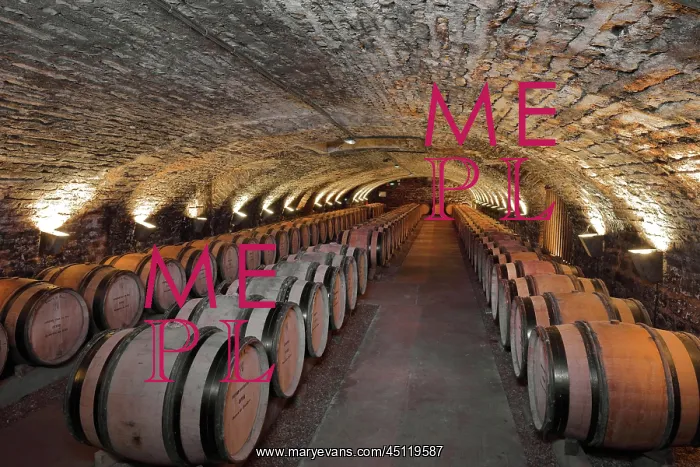 : Wine cellar, Hospices de Beaune, Beaune, Burgundy, France : Wine cellar, Hospices de Beaune, Beaune, Burgundy, France