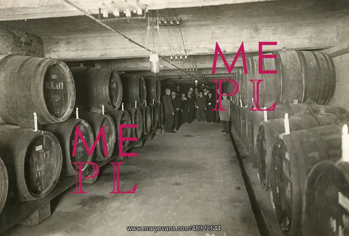 : Wine cellar of the Kempinski Wine House, 1914 : Wine cellar of the Kempinski Wine House, 1914