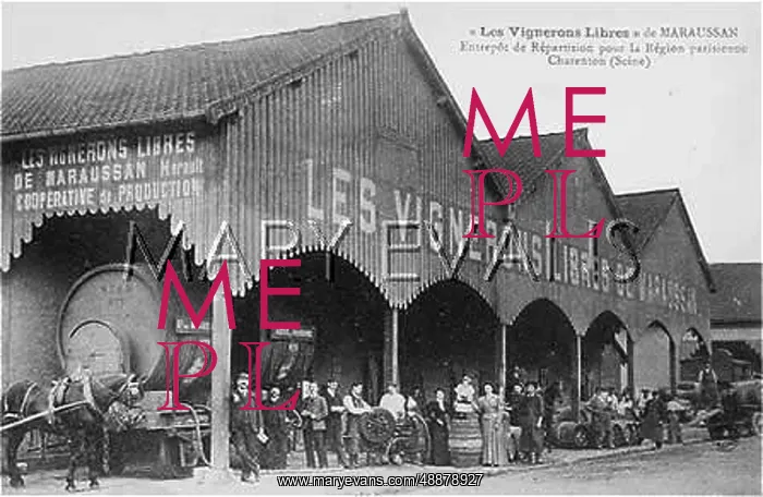  : WINE CO-OPERATIVE