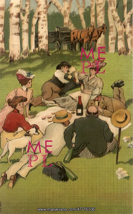 : Wine Country Picnic : Wine Country Picnic