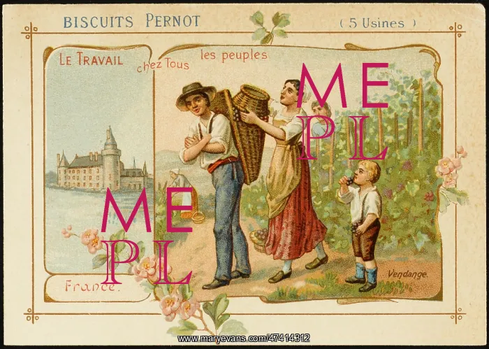 : WINE, FRANCE : WINE, FRANCE