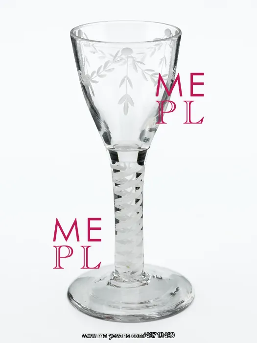 : Wine glass : Wine glass