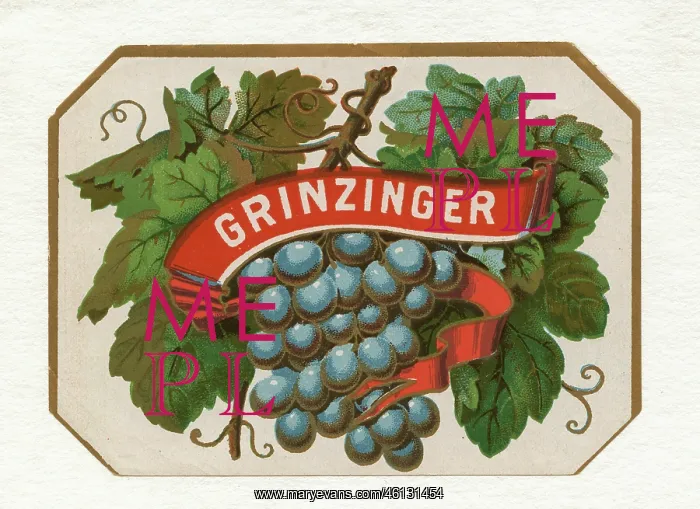 : Wine label Grinzinger - Graphic : Wine label Grinzinger - Graphic