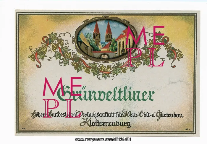 : Wine label Grunveltliner - Hohere Bundeslehr- : Wine label Grunveltliner - Hohere Bundeslehr-