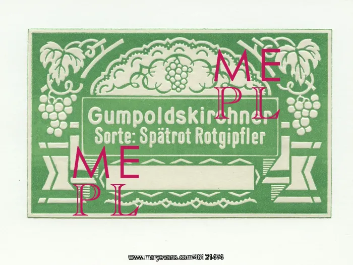 : Wine label Gumpoldskirchner - Sorte Spatrot : Wine label Gumpoldskirchner - Sorte Spatrot