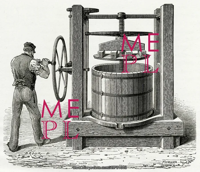 : WINE PRESS, 1870S : WINE PRESS, 1870S
