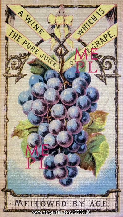  : A wine which is the pure juice of the grape