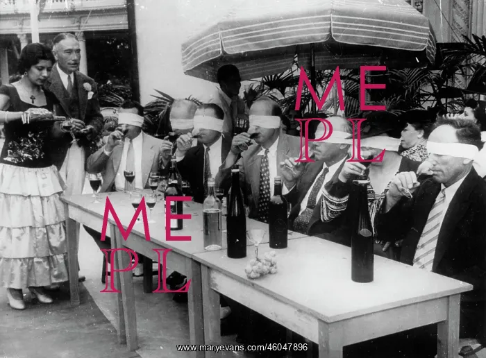 : Wine tasting : Wine tasting