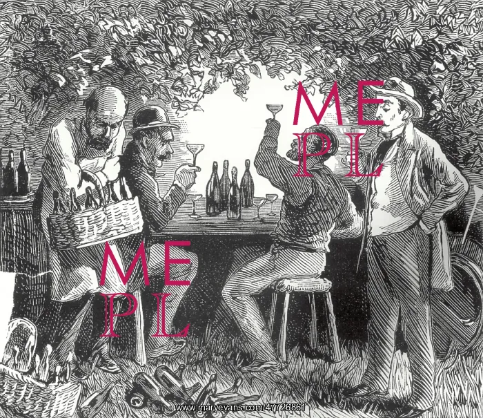 : Wine Tasting : Wine Tasting