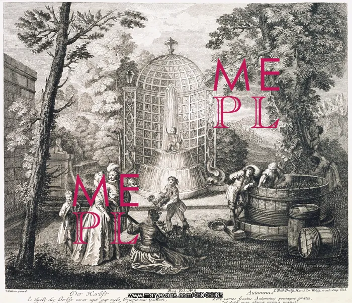 : Winegrowers gathering grapes : Winegrowers gathering grapes