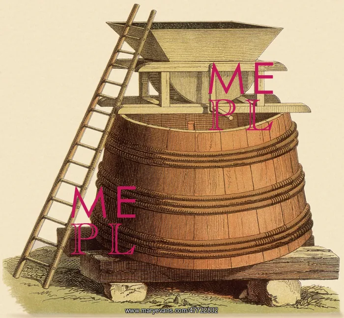  : Winemaking Vat