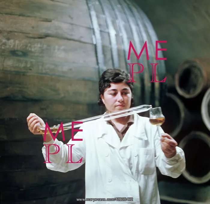 : At winery in Gurjaani, 1970 : At winery in Gurjaani, 1970