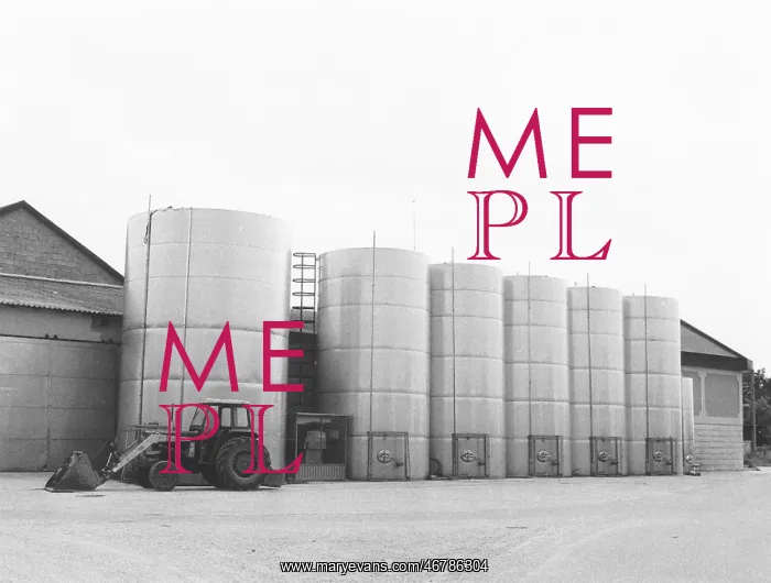 : Winery producer Josef Tschida : Winery producer Josef Tschida