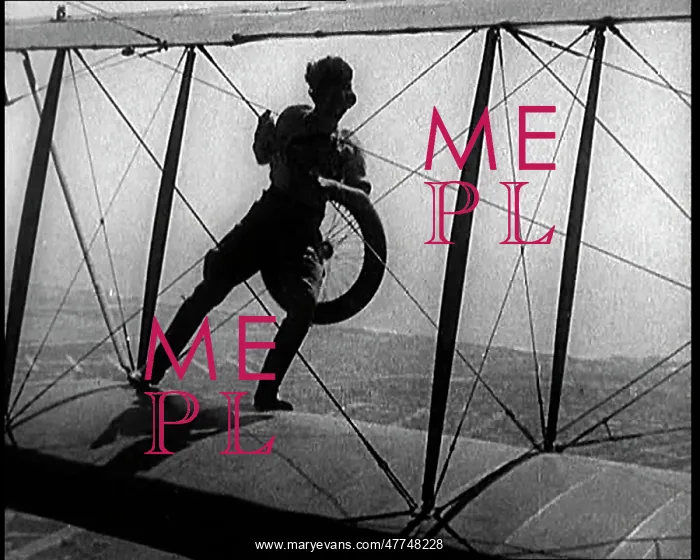 : A Wing Walking Female Civilian Changes The : A Wing Walking Female Civilian Changes The