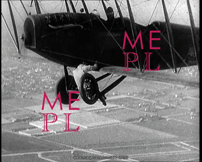 : A Wing Walking Female Civilian Changes The : A Wing Walking Female Civilian Changes The