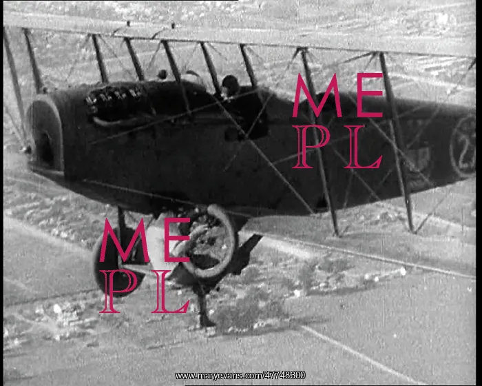: A Wing Walking Female Civilian Changes The : A Wing Walking Female Civilian Changes The