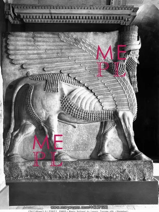 : Winged bull ('Lamassu'), relief taken : Winged bull ('Lamassu'), relief taken