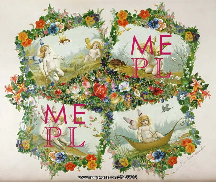 : Winged cherubs with floral collage surround : Winged cherubs with floral collage surround